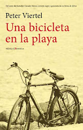Una bicicleta en la playa (literatura)