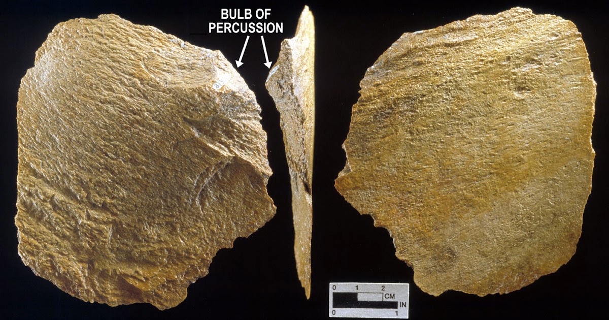 EVERYTHING ABOUT ARCHAEOLOGY WHAT IS THE BULB OF PERCUSSION