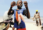 Imagenes de la Economía Garifuna.