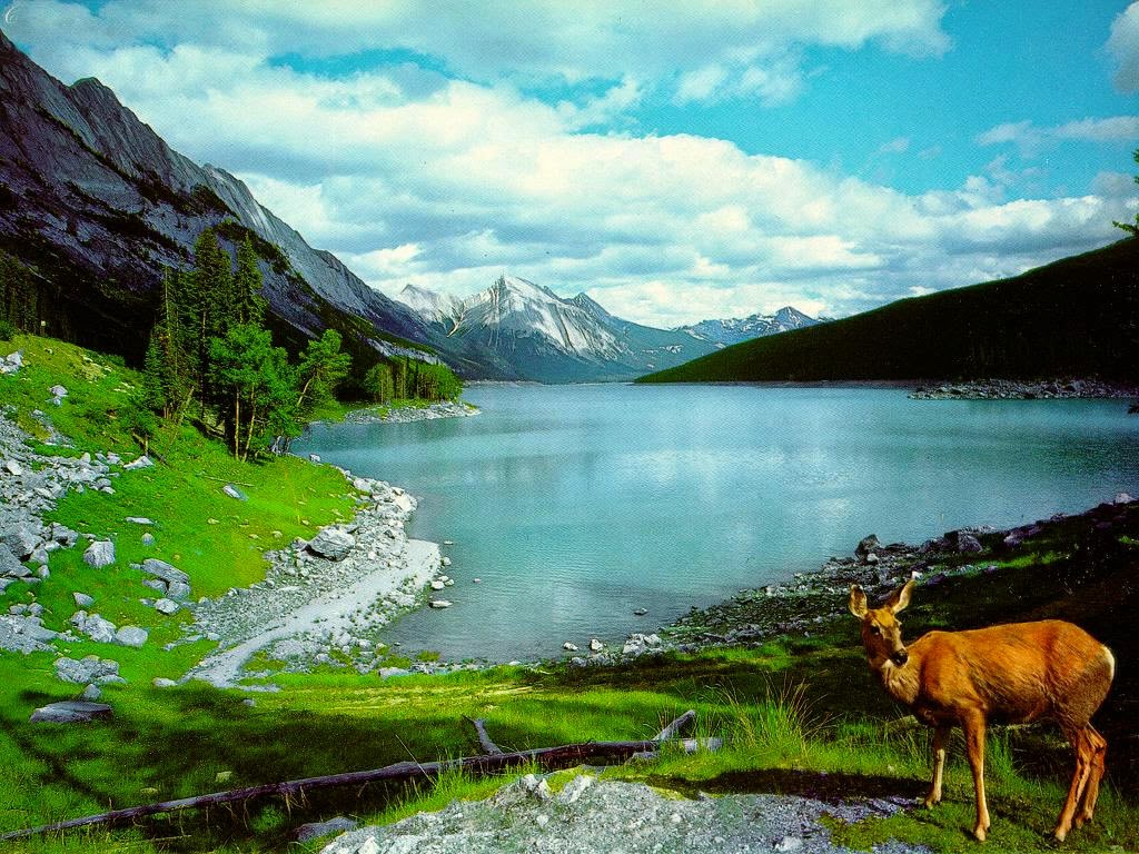 Nature Wallpapers Nature Wallpapers