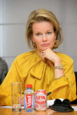 Queen Mathilde attends seminar of Child Focus on fight vs child pornography on the web