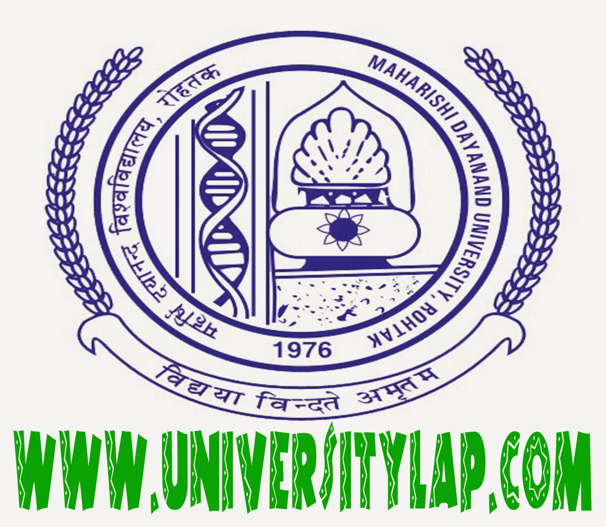 list of b.ed college of haryana under mdu university job in haryana