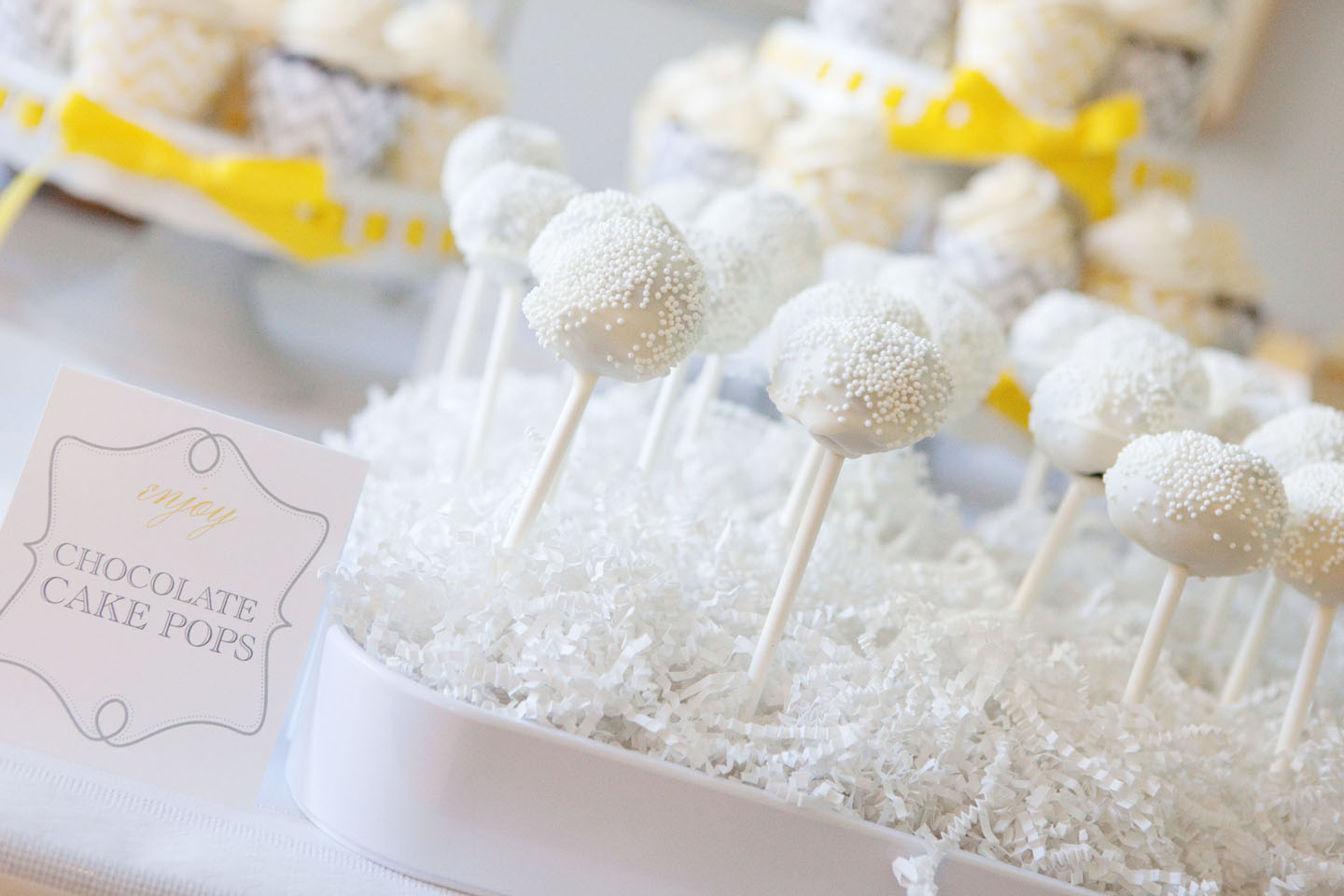 alison donahue photography Engagement Party Petaluma, Ca