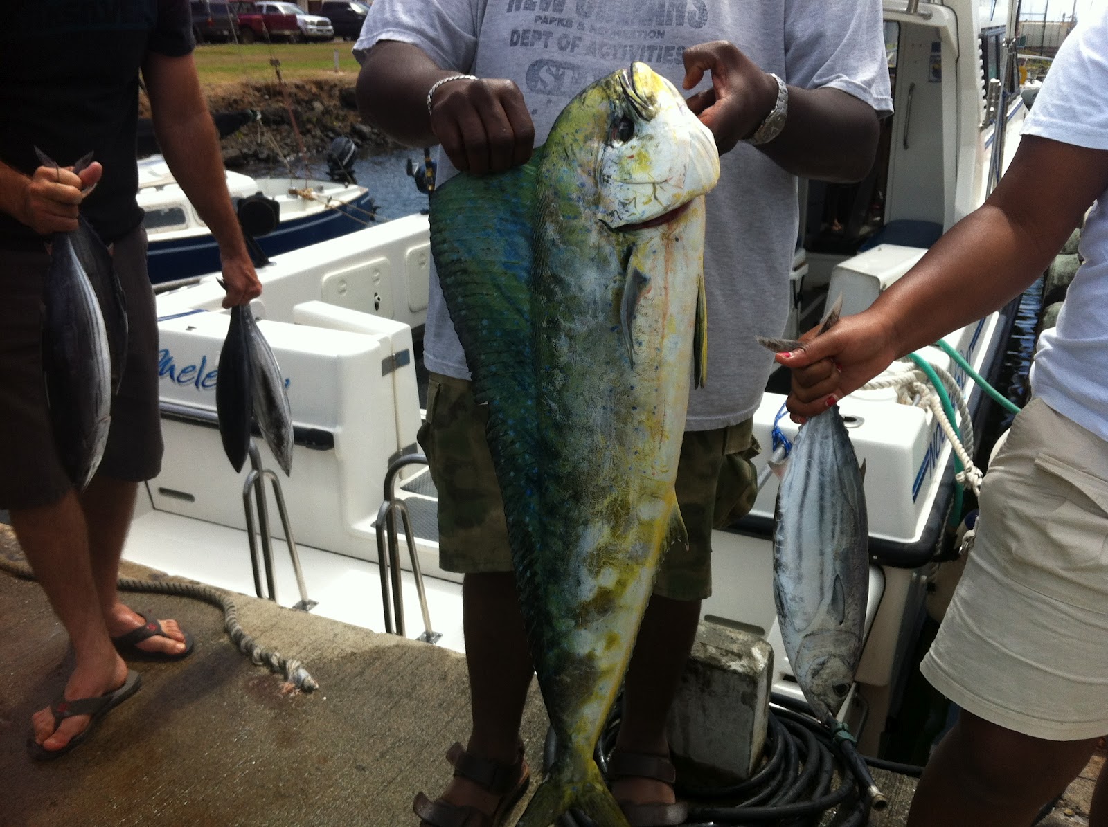 Clure Fishing Chaters Kauai Hawaii Caught 8/8/12 Mahimahi