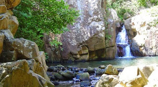 Parque Natural de los Alcornocales, detalle río.
