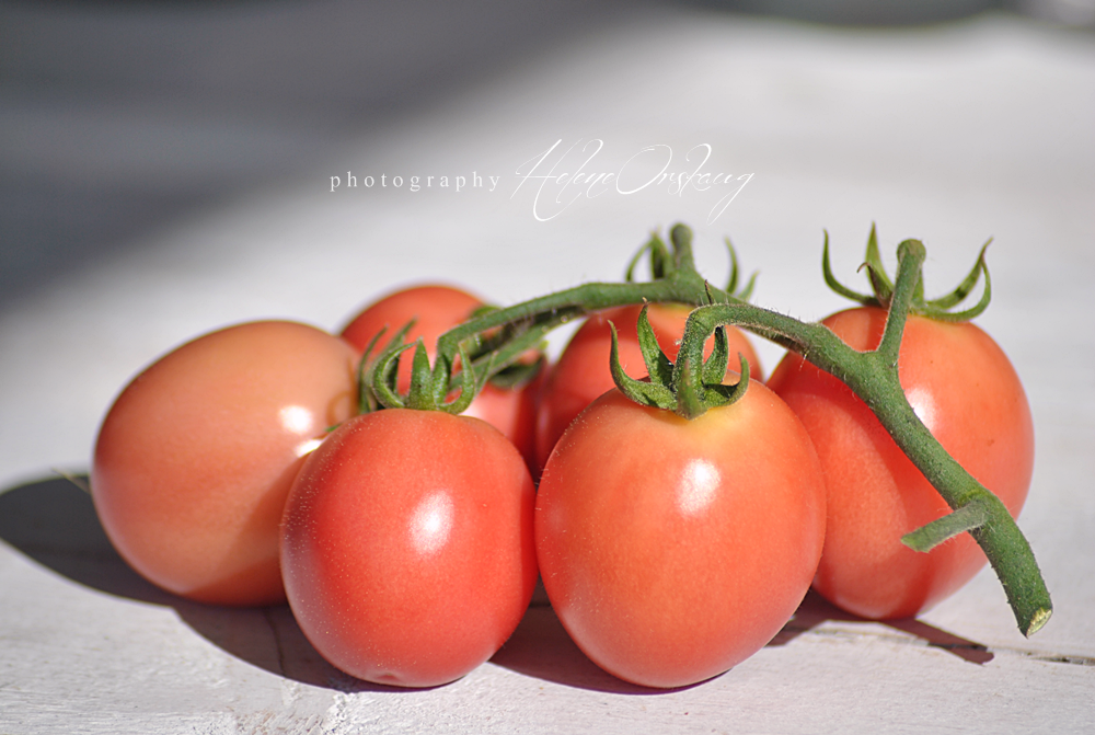 Talkin' Tomatoes with Helene Thai Pink Egg tomato