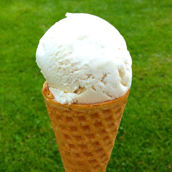 VEGANOO Vegan Reviews Taste Test Vegan Ice Cream Cones