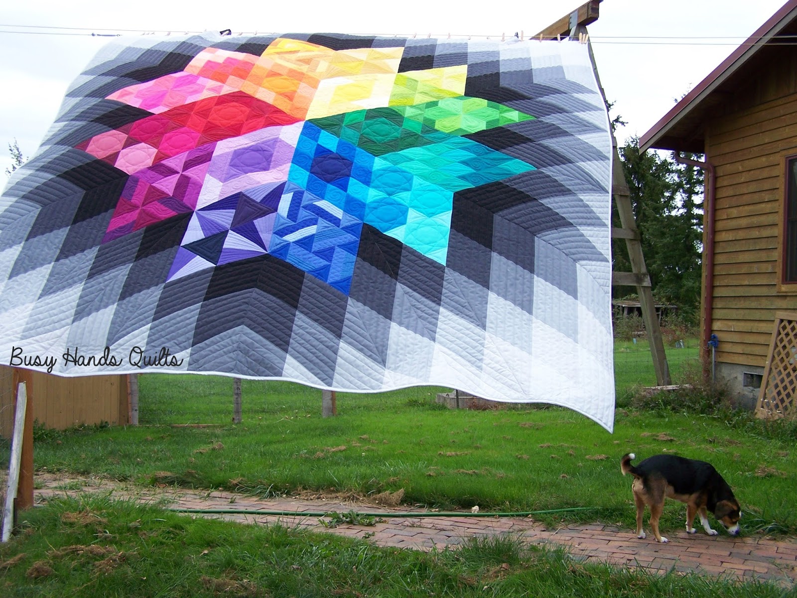 Busy Hands Quilts GRAVITY Quilt Along {Finished Quilts!}