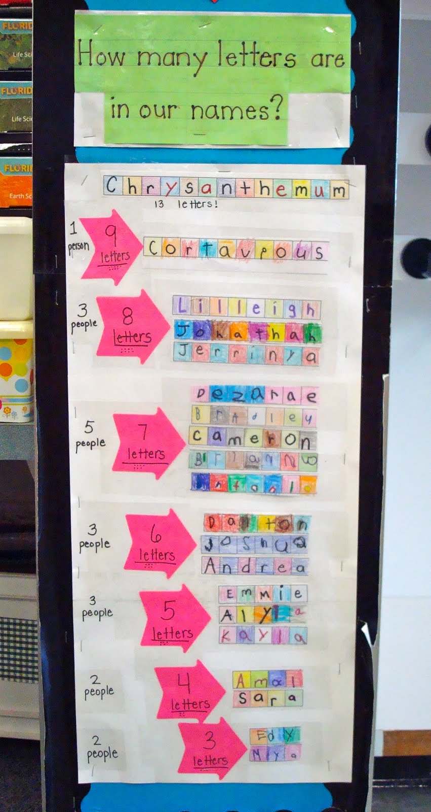 Pencils, Glue, & Tying Shoes Chrysanthemum