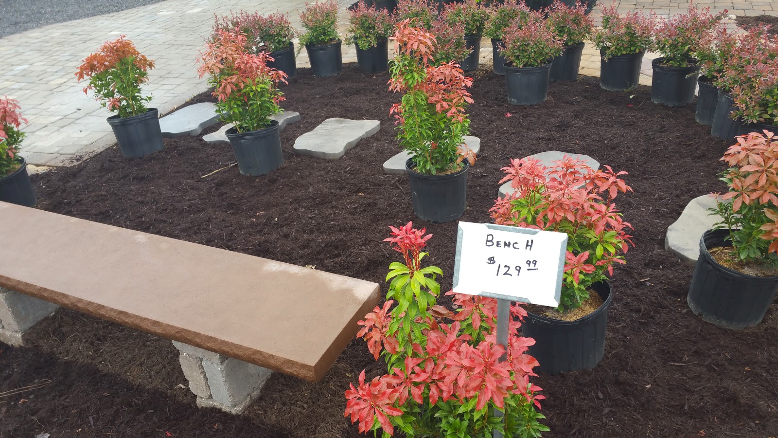 TURBOTVILLE LANDSCAPE AND SUPPLY Flowers