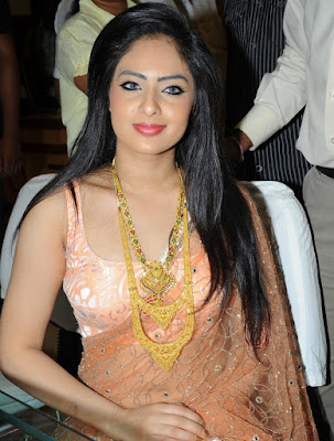 Nikeesha-Patel-In-Saree-Blouse-Photos