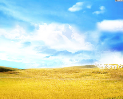 Window Wallpaper Biography Window Wallpaper Biography