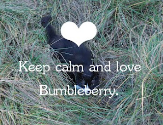 ❤ Keep calm and love Bumbleberry! ❤