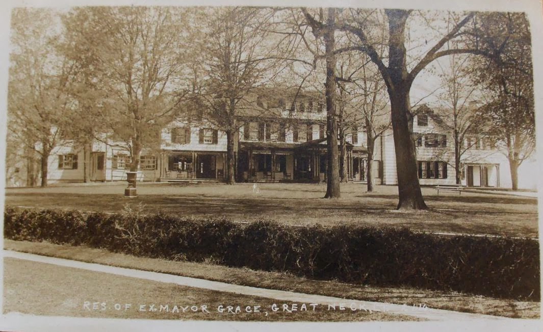 Old Long Island 'Gracefield'