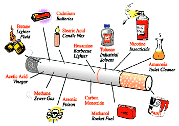 tobacco companies know the effects Should tobacco companies be held responsible for smoking-related illnesses and deaths - assignment example one gets to know the full effects of smoking tobacco. tobacco companies know the effects Should tobacco companies be held responsible for smoking-related illnesses and deaths - assignment example one gets to know the full effects of smoking tobacco.