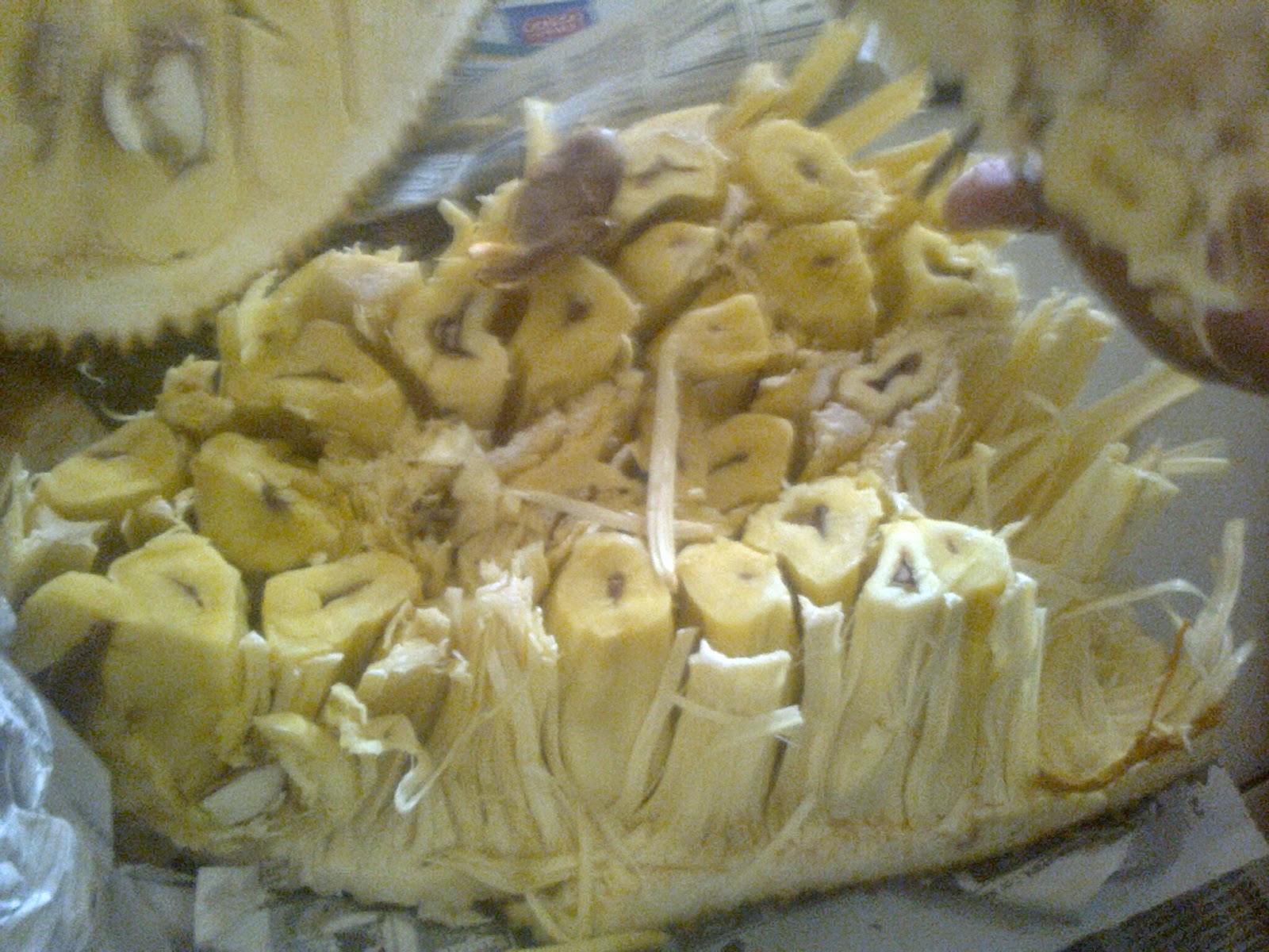 c maras de jaca deus prover 193 jaca c maras de jaca deus prover 193 jaca