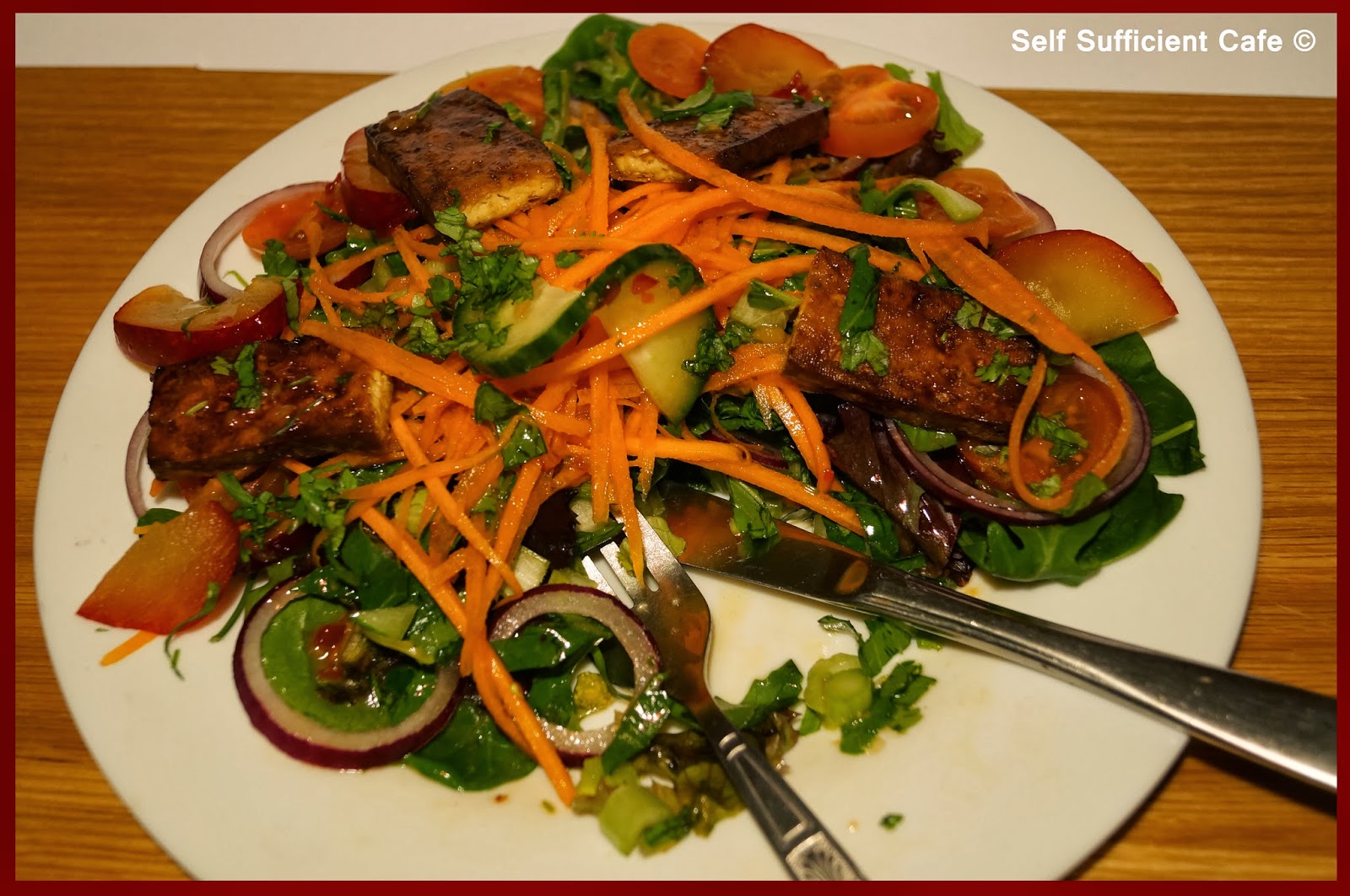 Self Sufficient Cafe Asian Fusion Salad