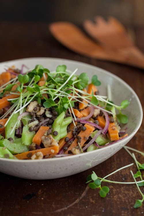 Daily Mood Co Salade De Lentilles Au Radis Noir