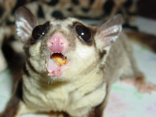 Makanan Sugar Glider makanan sg joey, makanan sgot sgpt, makanan penurun sgot dan sgpt, makanan penurun sgpt, makanan penurun sgot sgpt, makanan untuk sg, makanan penurun sgot, pantangan makanan sgot sgpt tinggi, makanan menurunkan sgot dan sgpt, jual makanan sg, makanan sg joey, makanan sg, makanan untuk sg, jual makanan sg, makan sg, makan sg petani, makan sg buloh, makan sg penchala, makan sedap sg petani, keracunan makanan sg petani, makan sg buloh, makan best sg petani, makan best sg buloh, makan sedap sg buloh, kedai makan sg buloh, tempat makan sg buloh, kedai makan sg besi, makan sedap sg besi, makan di sg petani, makan deals sg, kedai makan sg dua penang, makan sedap di sg petani, makan sedap di sg buloh, keracunan makanan di sg petani, makanan yang sedap di sg petani, makanan di singapore, makanan di singapore airlines, makanan di singapore yang enak, makan express sg, makanan favorit singapore, makanan favorite singapura, makan food singapore, makan forum singapore, makanan geylang singapore, makan guide singapore, makan singapore halal, makanan halal singapore, makanan khas singapore, makanan khas singapore halal, makanan halal singapore airlines, makanan indonesia singapore, makan in singapore, makanan sg joey, jual makanan sg, makanan singapore kaskus, makanan khas singapore, makanan khas singapore halal, makanan khas singapore yang halal, makanan kuliner singapur, makan khas singapore, makanan laksa singapore, makanan murah singapore, makanan melayu singapore, makan mana singapore, makan mate sg, makaan mumbai singapore, makan mantra singapore, makan malam singapore, makanan sg, makanan sg joey, makanan sgot sgpt, keracunan makanan sg petani, jual makanan sg, pantangan makanan sgpt, pantangan makanan sgpt tinggi, makan sedap di sg petani, makanan penurun sgot dan sgpt, makanan penurun sgot, pantangan makanan sgpt, pantangan makanan sgpt tinggi, makanan untuk menurunkan sgpt, makanan penurun sgpt, makanan penurun sgot sgpt, makanan untuk sgpt tinggi, makanan untuk menurunkan sgpt dan sgot, makanan menurunkan sgot sgpt, makanan menurunkan sgpt, makanan penurun sgpt dan sgot, makan singapore places, makanan pokok singapore, singapore makan place, makan sg petani, makan sg penchala, sg makan place,
