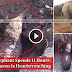 This Mother Elephant Spends 11 Hours Digging, The Reason Is Heartwrenching