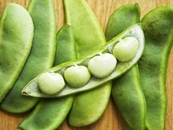 butter bean benefits butter bean benefits