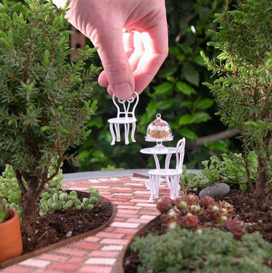 mini jardins no vidro:Meu Palácio de 64m²: Mini Jardins – Mini fofuras mini jardins no vidro:Meu Palácio de 64m²: Mini Jardins – Mini fofuras