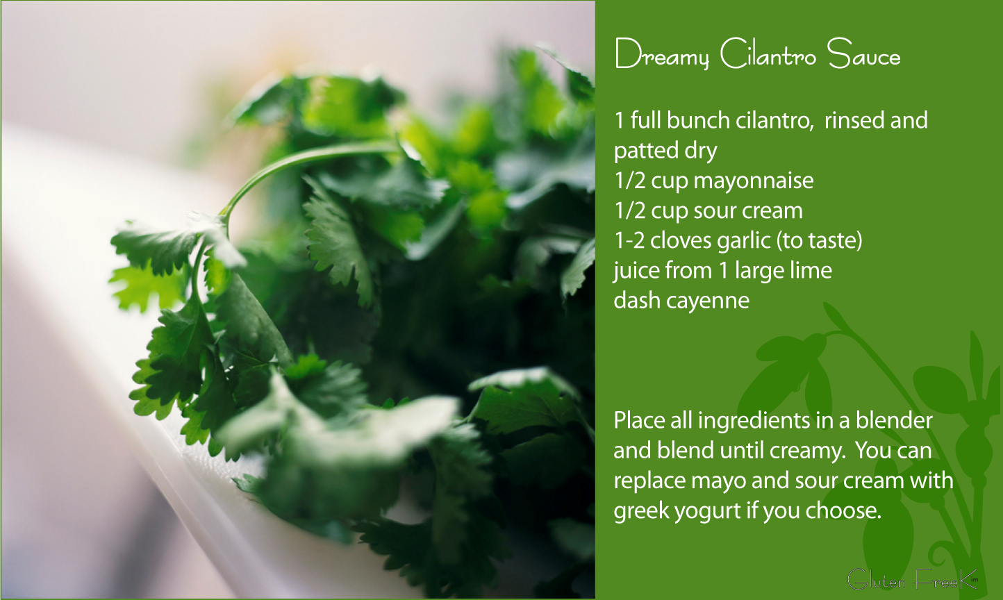 Gluten FreeK Dreamy Cilantro Sauce