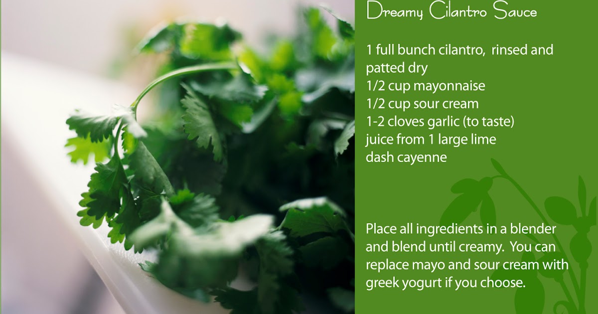 Gluten FreeK Dreamy Cilantro Sauce