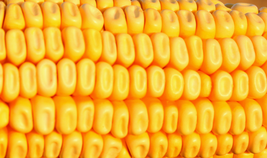 uncommon shapes in repetition photography