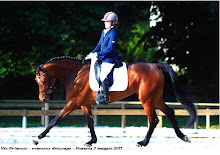 His Princess concorso dressage 8 maggio 2011 - Francia