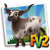 FV2Cheat Speckled Ankole Cow ( prized ,adult,baby )