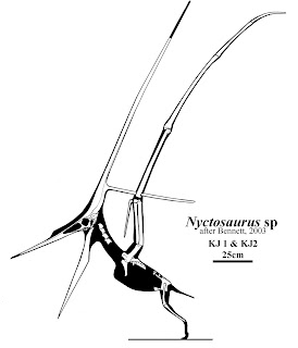 Nyctosaurus