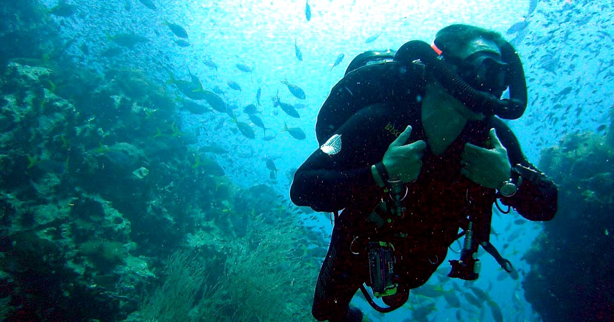 Life Is Calling Best Places to Scuba Dive in the World