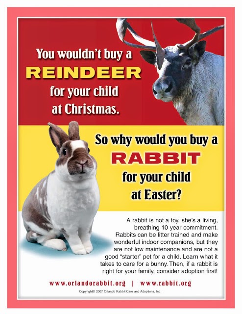 Rabbit Ramblings: Easter - real bad for real, live bunnies