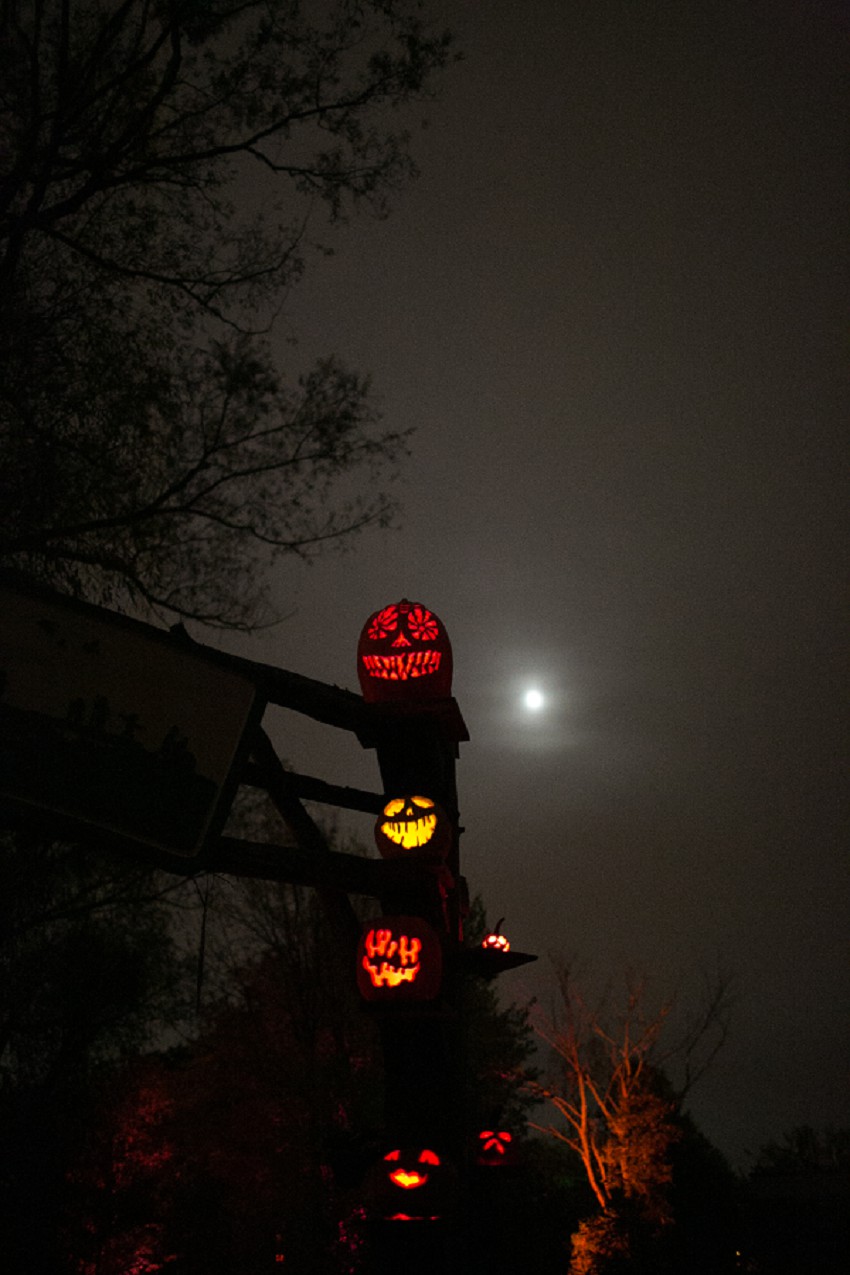 roger williams zoo lantern spectacular