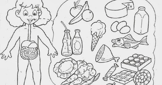 Cuentosdedoncoco Com El Sistema Digestivo Para Colorear Para Ninos