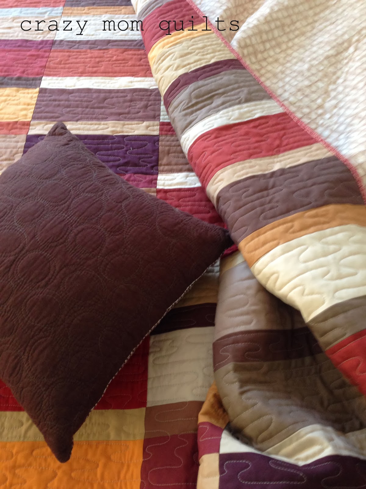 crazy mom quilts plain spoken redux