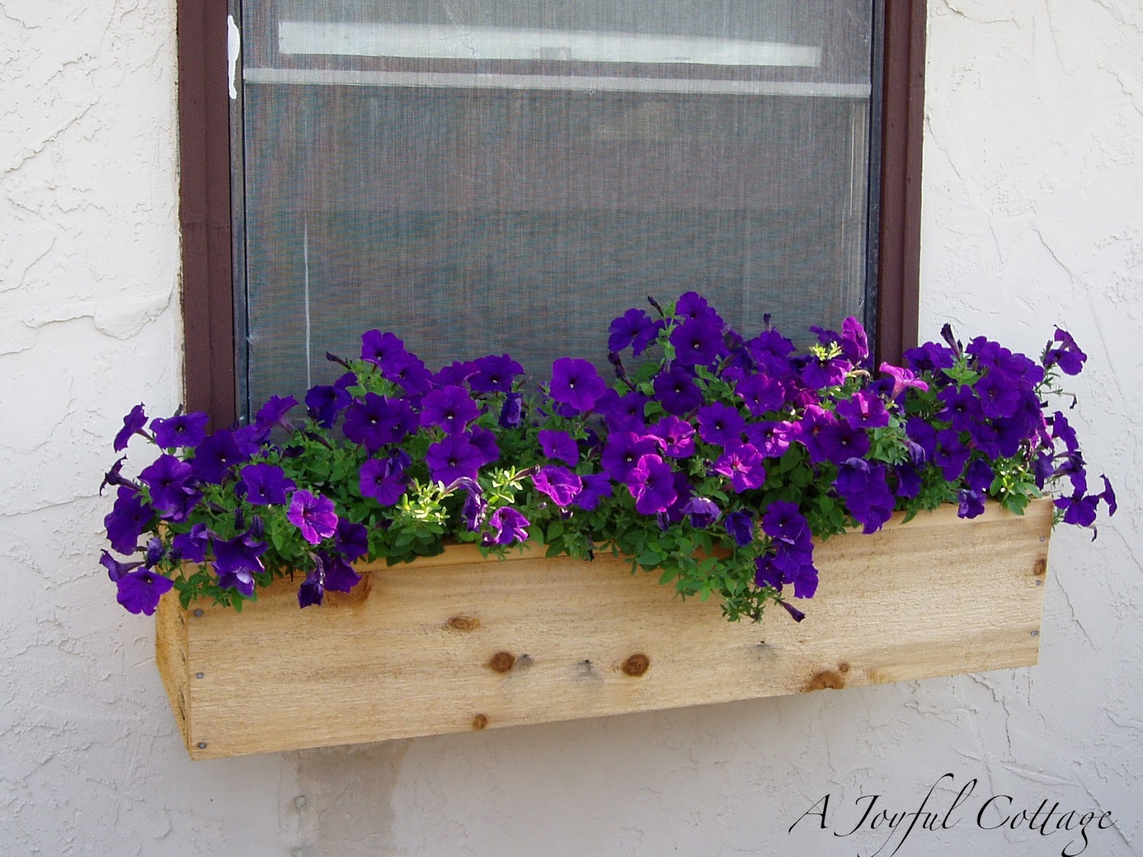 A Joyful Cottage Cottage Shutters and Window Boxes