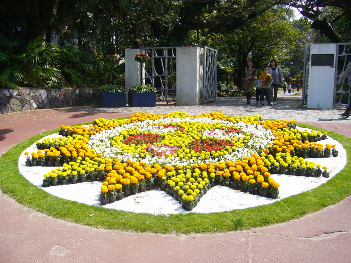 宮崎県 青島 鬼の洗濯板 堀切峠 道の駅フェニックス 関西のウォーキングスポット ブログ