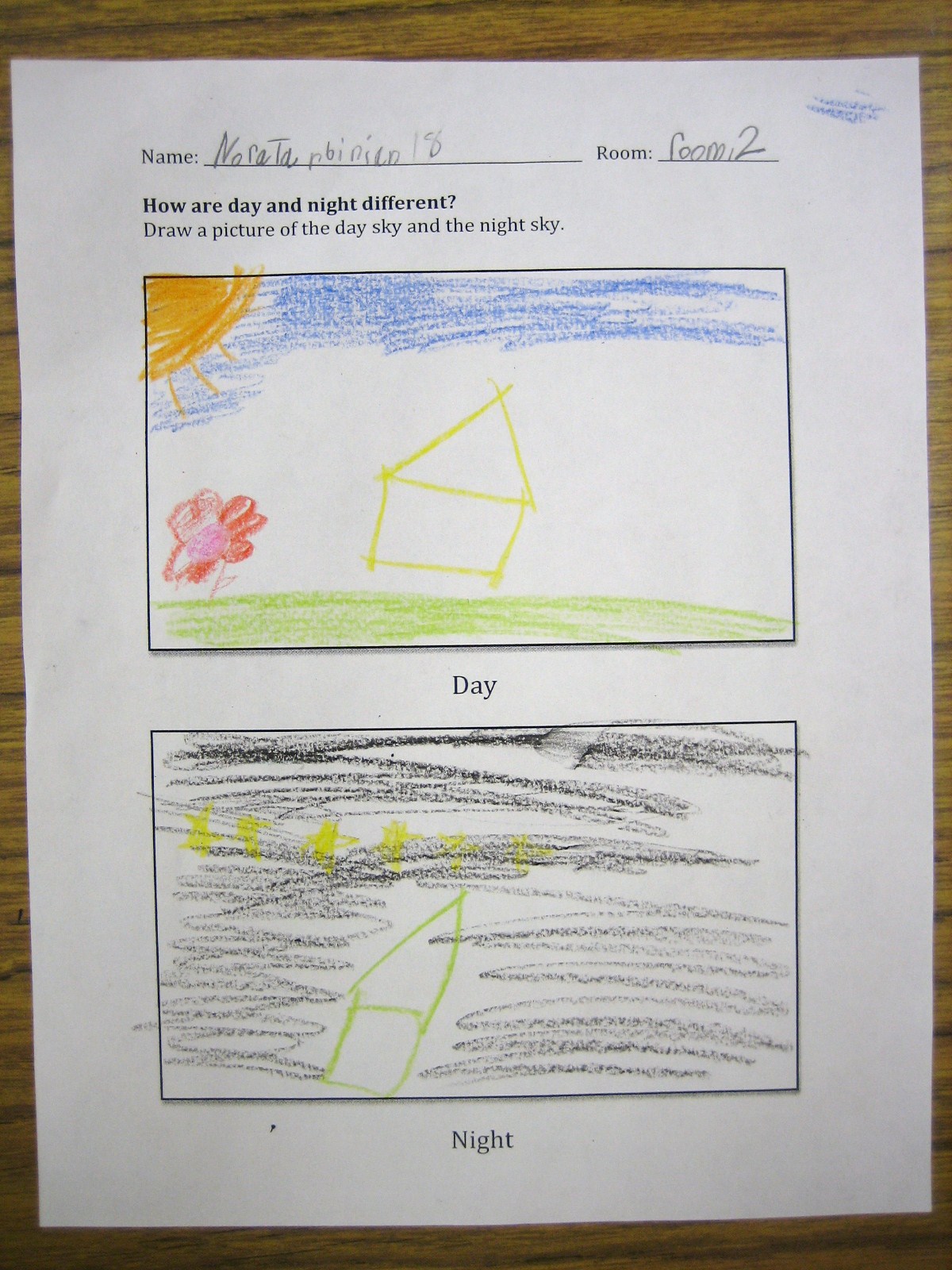 Stadium Library GoingsOn Night and Day