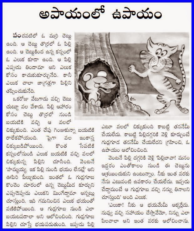 TELUGU WEB WORLD: STORY OF A RAT AND THE CAT IN TELUGU