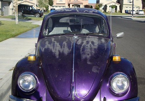 He had a purple bug It was cool It was metallic shiny purple