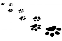 Panzer's paw prints
