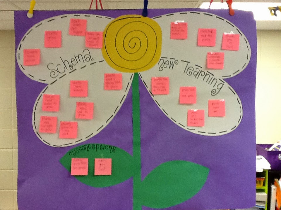 Mrs. Lee's Kindergarten: Plants!