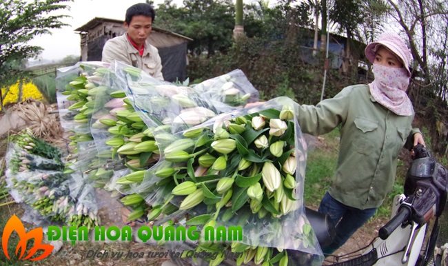 [Image: Hot-bac-nho-nhung-vuon-hoa-dep-nhu-tranh-o-Ha-Noi-7.jpg]