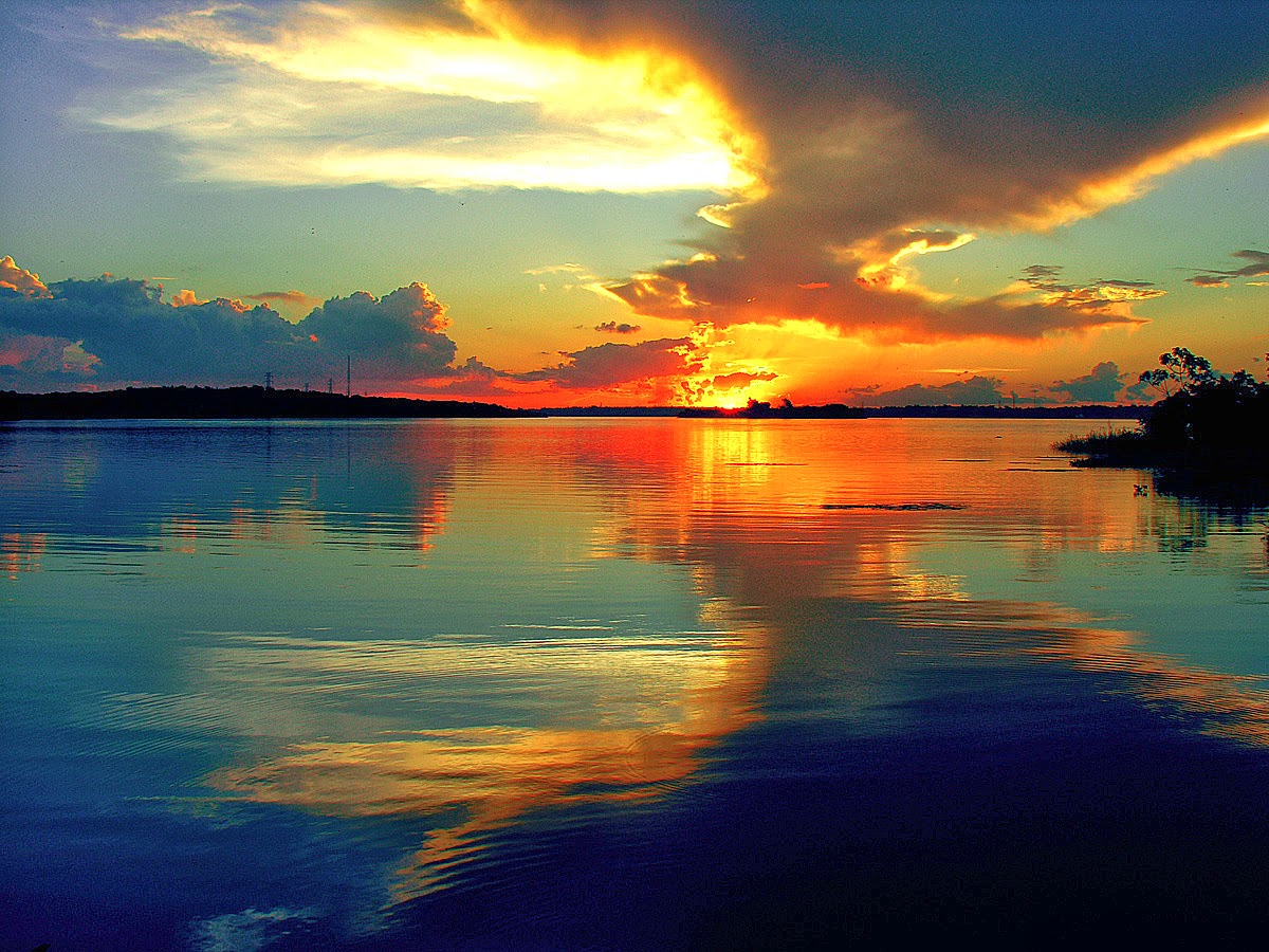 Pastor Murback || Pagina Oficial: Paisagens Naturais