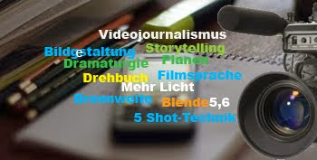 Videojournalismus