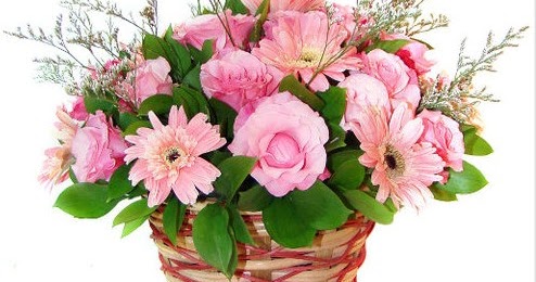 Info Keren Paling Top Untuk Anda: Bunga Untuk Jenguk Orang Sakit di Bandung