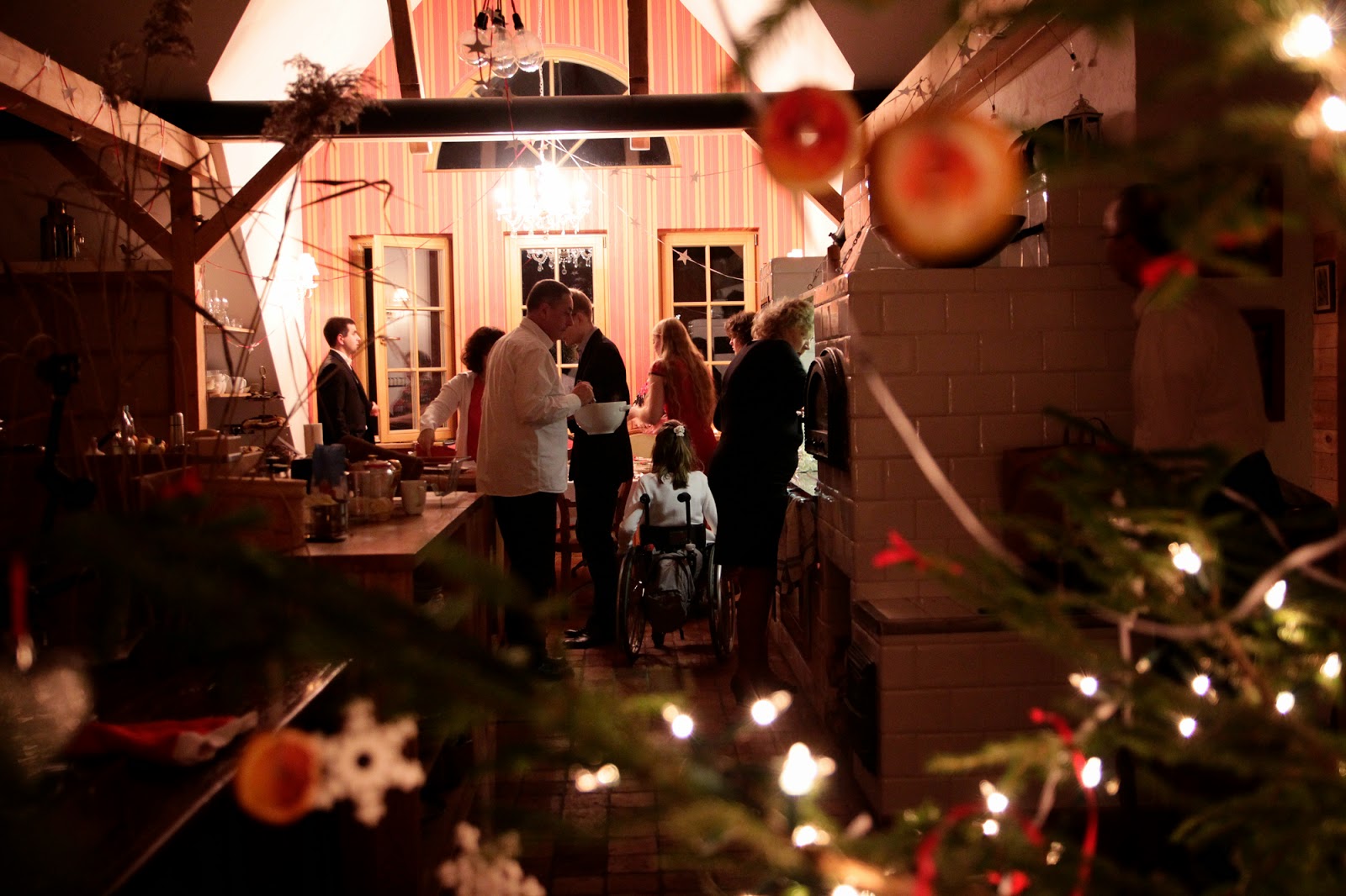 Gwiazdka w Puszczy - Ania w Podróży