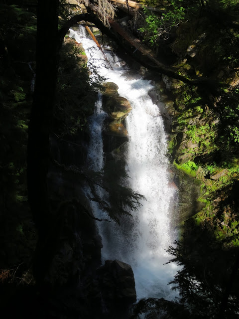 Carter Falls, Mount Rainier National Park